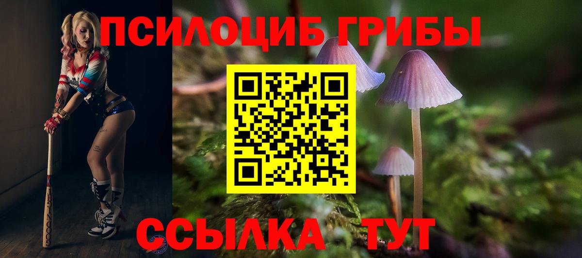 Галлюциногенные грибы Magic Shrooms  Псилоцибиновые грибы прущие грибы  Миллерово  Вход с VPN 
